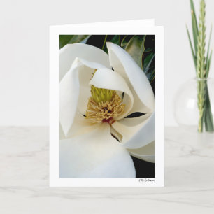 Carte Magnolia Swirl