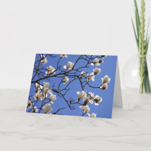 Carte Magnolias florissants