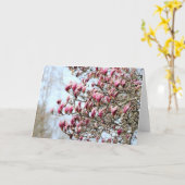 Carte Magnolias roses (Fleur jaune)