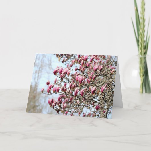 Carte Magnolias roses (Devant)