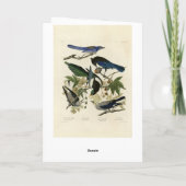 Carte Magpie Jays & Nutcracker Audubon Birds of America (Dos)