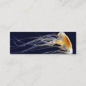 Carte maigre - dentelle de dérive (Dos)