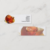 Carte maigre - l'orange s'est levée (Devant / Derrière)