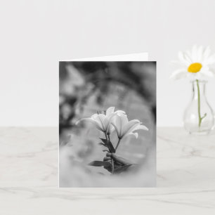 Carte Main tenant des lys – Condoléances Noir et Blanc
