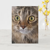 Carte Maine Coon Cat (Fleur jaune)