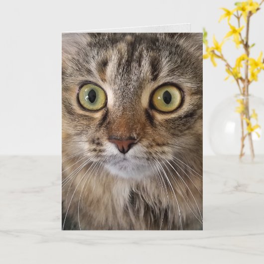 Carte Maine Coon Cat (Fleur jaune)