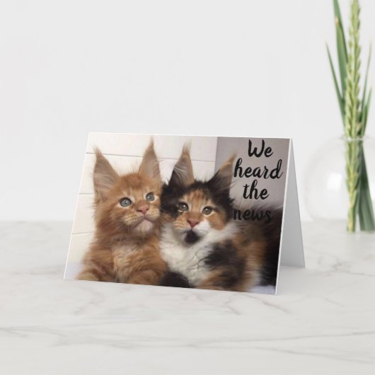 CARTE MAINE COON CATS DIT **30** JOLI ANNIVERSAIRE (Devant)