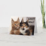 CARTE MAINE COON CATS SAY **30?** YOU? BIRTHDAY CARD<br><div class="desc">THESE TWO MAINE COON CATS ARE SO CUTE SO THEY ARE ON A FEW OF MY CARDS HERE AT OverWhatHill with different verses and of course DIFFERENT AGES but YOU CAN CHANGE THE AGE IN SECONDS OR ANYTHING ON MY CARDS IF YOU WISH. THANKS FOR STOPPING BY ONE OF MY...</div>