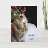 Carte Maine Coon chat anniversaire tardif (Devant)