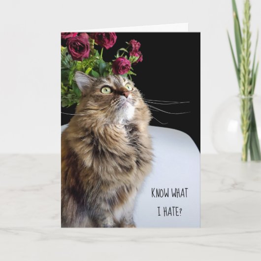 Carte Maine Coon chat anniversaire tardif (Devant)