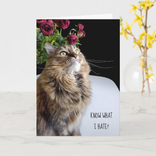 Carte Maine Coon chat anniversaire tardif (Fleur jaune)