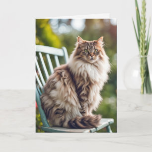 Carte Maine Coon Chat On Chaise pour Anniversaire