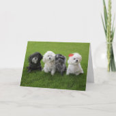 Carte Maintenir (Devant)