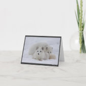 Carte Maintenir chaud (Devant)