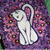 Carte Maisies blanches de chats