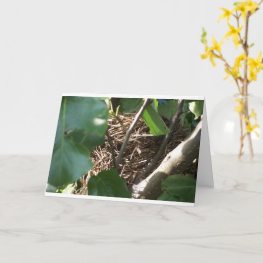 Carte Maison à la maison de bip (Fleur jaune)