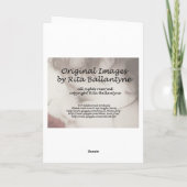 Carte Maison haunted (Dos)