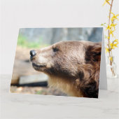 Carte Maître Bruin (Fleur jaune)