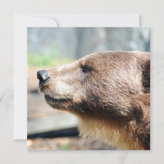 Carte Maître Bruin (Devant)