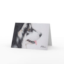 Malamute d'Alaska aux cheveux longs