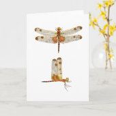 Carte Male Calico Pennant Dragonfly - 2 vues (Fleur jaune)