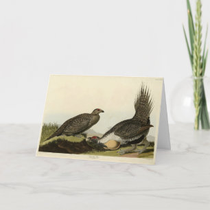 Carte (Male Fowl) des Plaines Audubon Birds of America