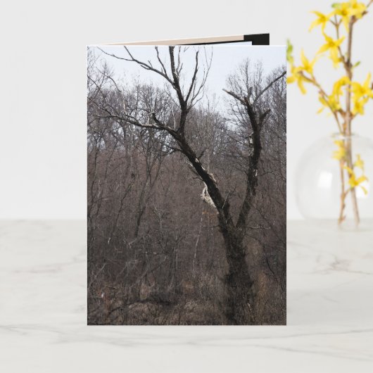 Carte Malificent Tree (Fleur jaune)