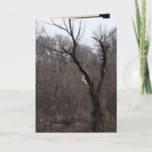 Carte Malificent Tree