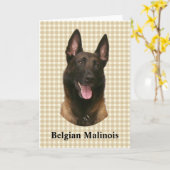 Carte malinois belge (Fleur jaune)