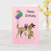 Carte Malinois belge, Ballons d'anniversaire (Fleur jaune)
