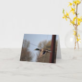 Carte Mallard (Fleur jaune)