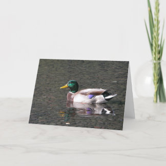 Carte Mallard