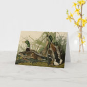 Carte Mallard Duck (Fleur jaune)