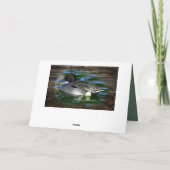 Carte Mallard Duck (Dos)