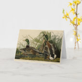 Carte Mallard Duck from Audubon's Birds of America (Fleur jaune)