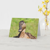 Carte Mallard Get Well (Fleur jaune)