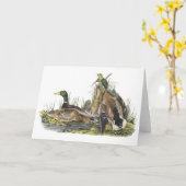 Carte Mallard, John Audubon (Fleur jaune)