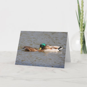 Carte Mallards Greeting Card