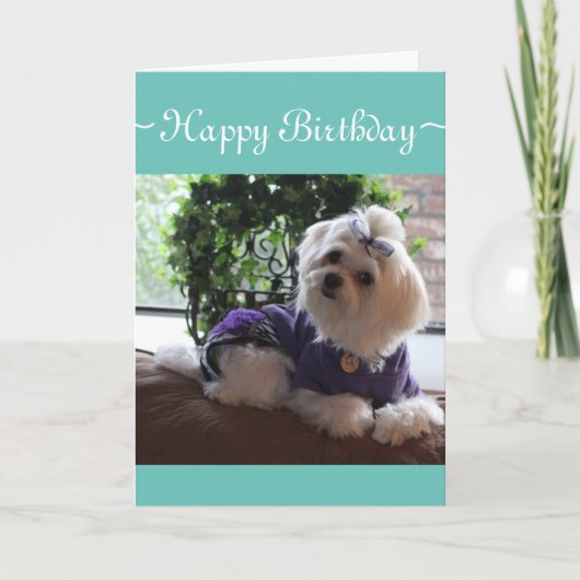 Carte Maltais 2 (Devant)