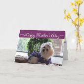 Carte Maltais 2 Cadeaux (Fleur jaune)