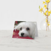 Carte Maltaise de note Snowdrop (Fleur jaune)