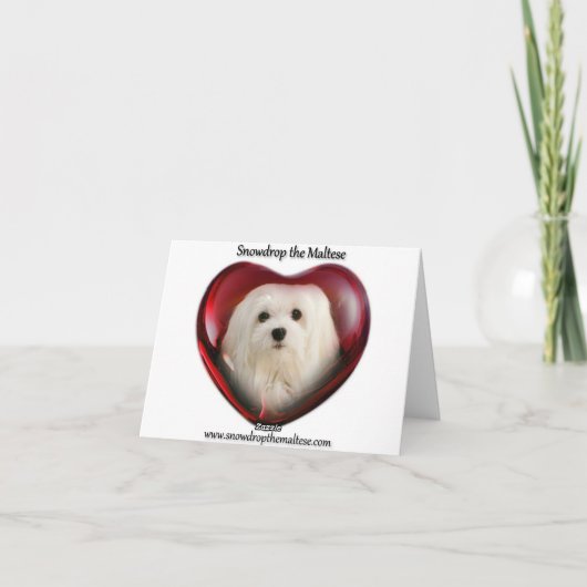 Carte Maltaise de note Snowdrop (Dos)