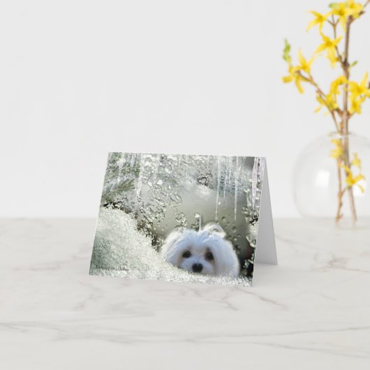 Carte Maltaise de note Snowdrop (Fleur jaune)