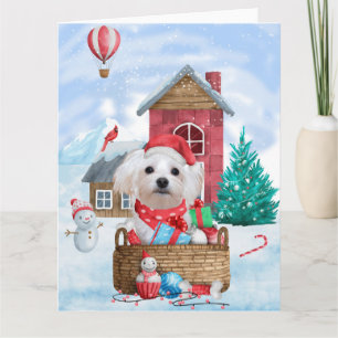 Carte Maltese dans une maison pour chien de Noël enneigé