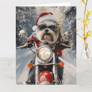 Carte Malti Tzu Chien équitation Moto Noël