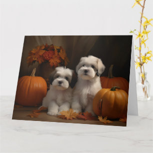 Carte Malti tzu chiot Autumn Delight Citrouille