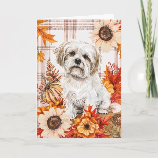 Carte Malti Tzu Dog Fall Thankgiving (Devant)
