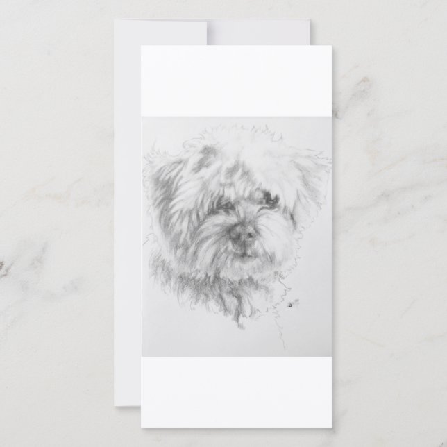 Carte Maltipoo (Devant)
