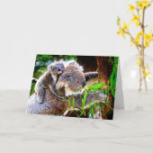 Carte Mama Koala et bébé Joey dans un arbre, (Fleur jaune)