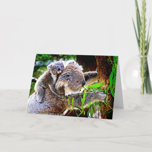Carte Mama Koala et bébé Joey dans un arbre, (Devant)